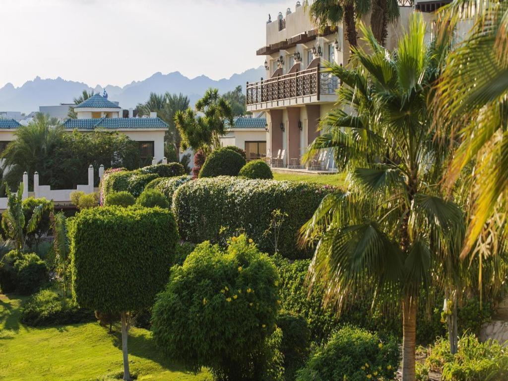 Concorde El Salam Sharm El Shiekh Hotel Eksteriør billede